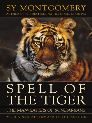cover image of Spell of the Tiger